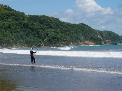 Pantai Sine Tulungagung dengan air laut tenang di teluk