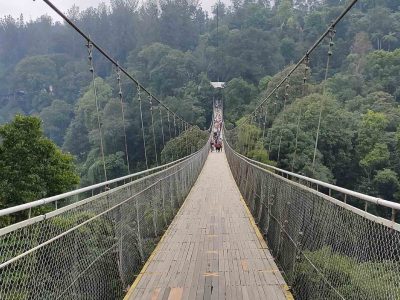 Jembatan gantung Situ Gunung Sukabumi di tengah hutan